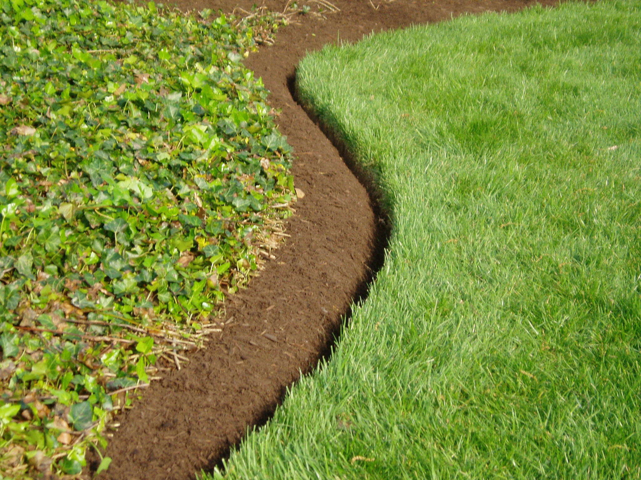The Best Landscape Edging to Install Around Your Flower Beds